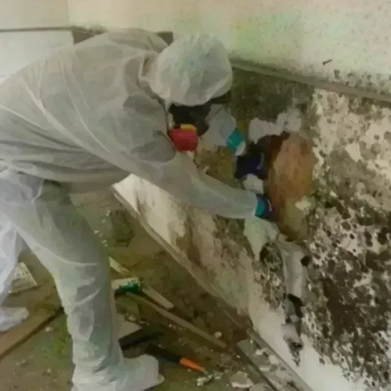 Mold Remediation and Removal in Kernersville, NC