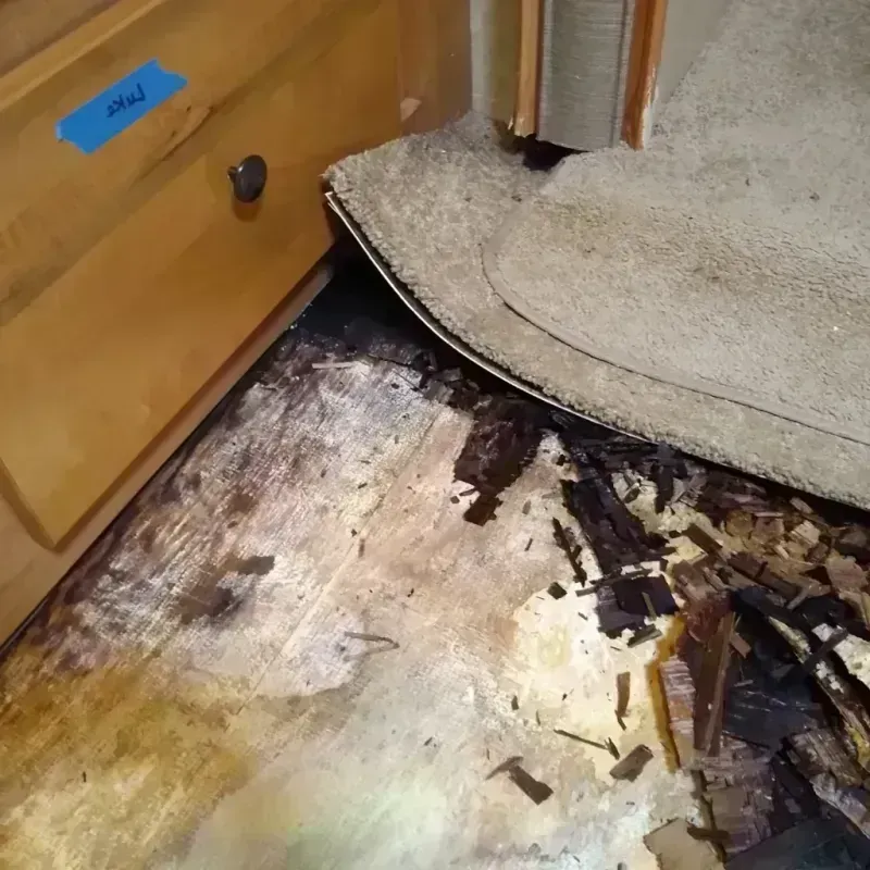 Best Wood Floor Water Damage Service in Kernersville, NC